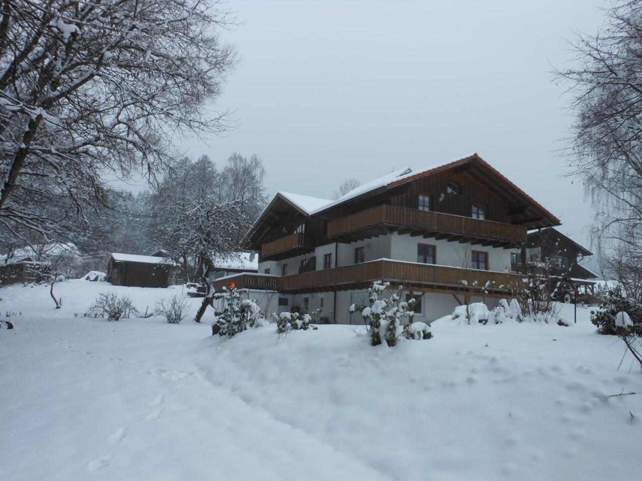 Ferienwohnung Hubertus Bischofsmais Bagian luar foto