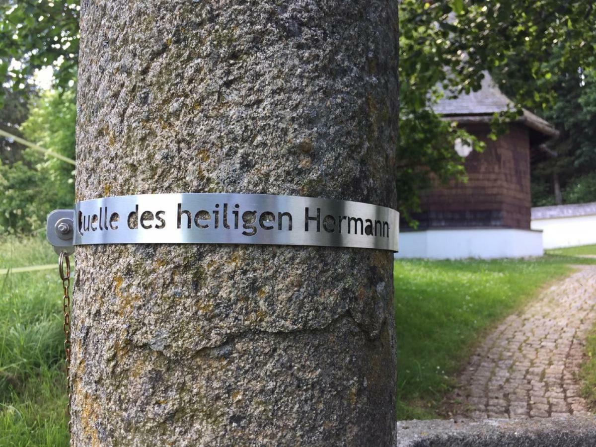 Ferienwohnung Hubertus Bischofsmais Bagian luar foto