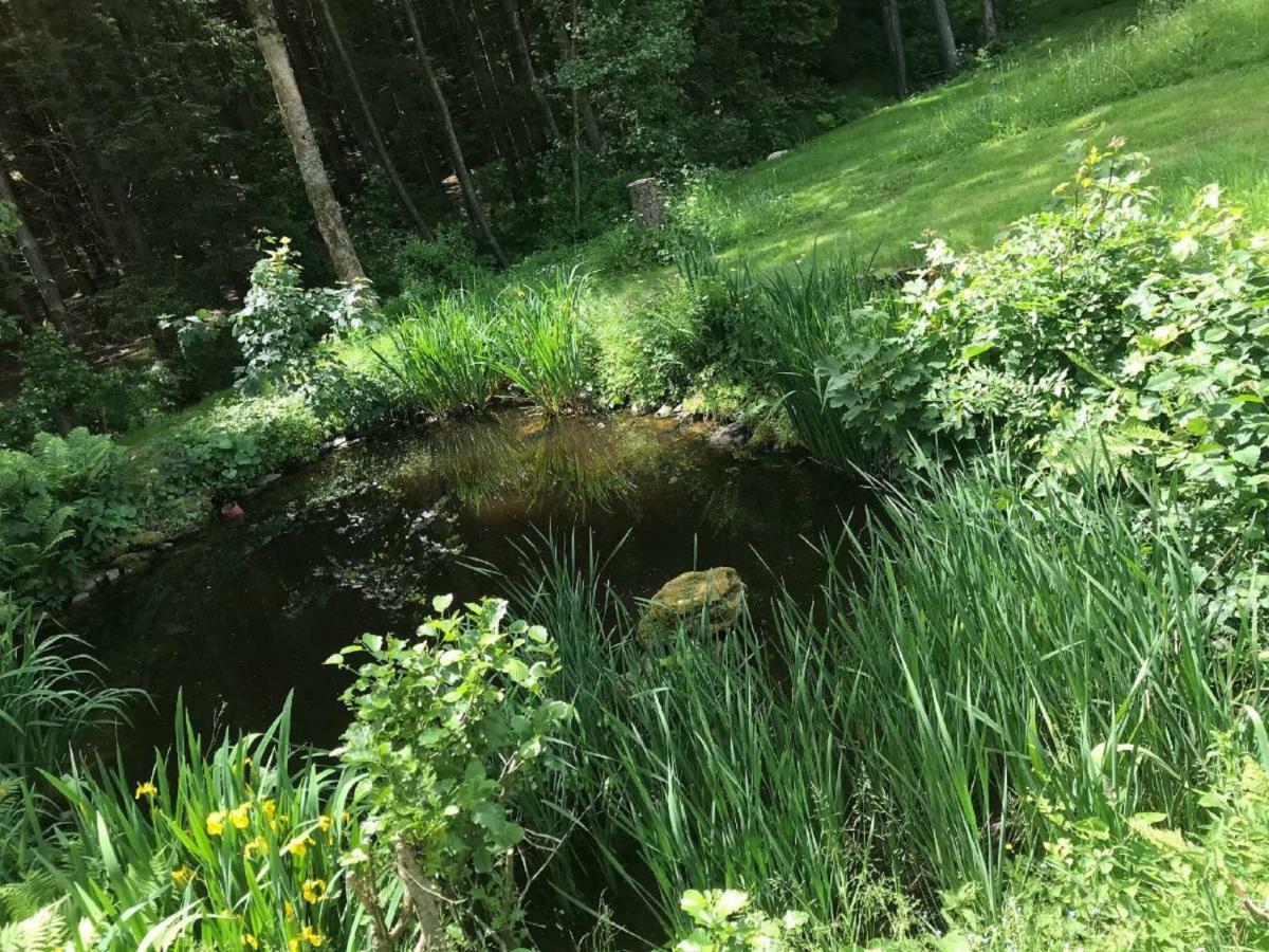 Ferienwohnung Hubertus Bischofsmais Bagian luar foto