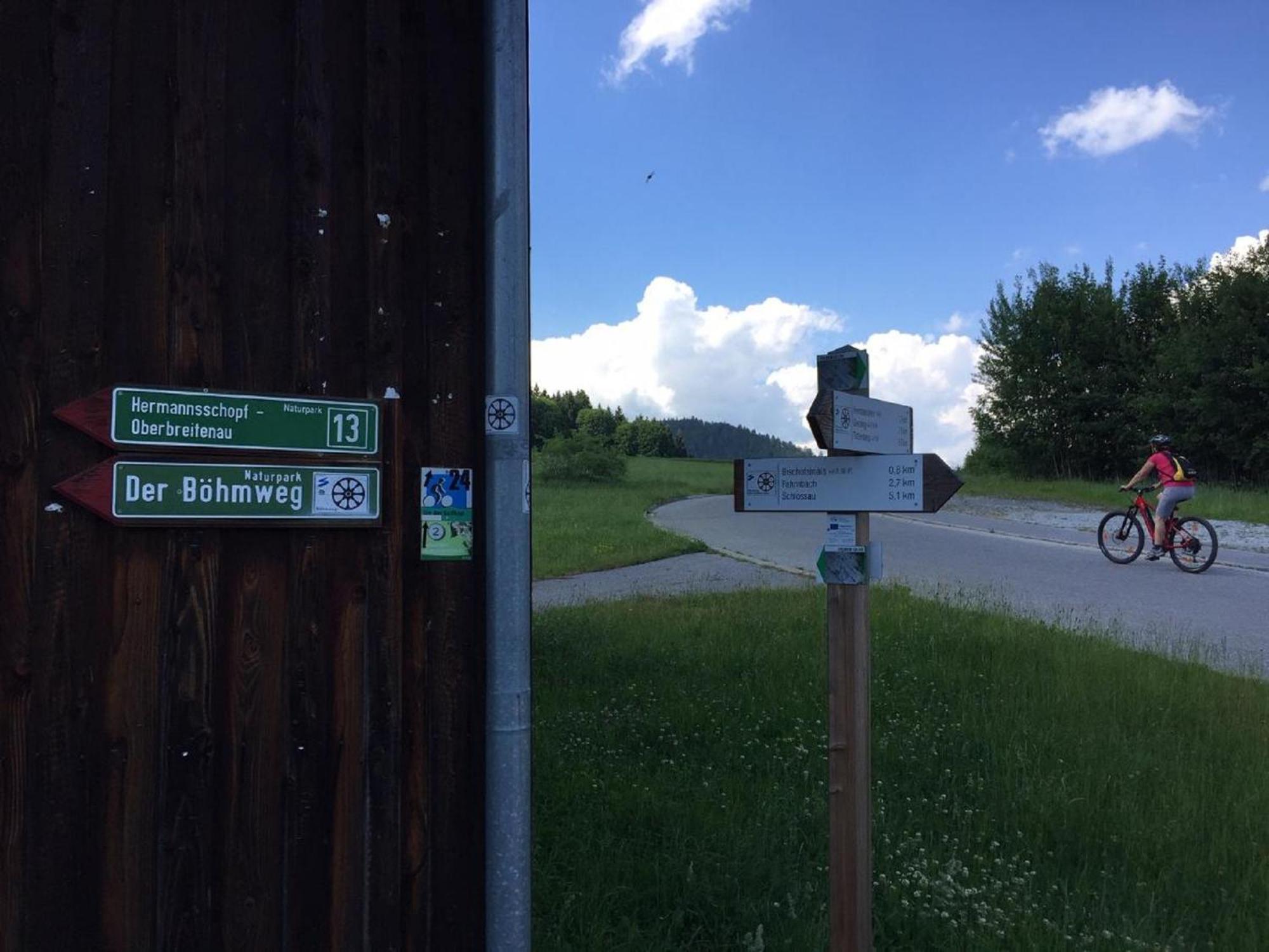 Ferienwohnung Hubertus Bischofsmais Bagian luar foto