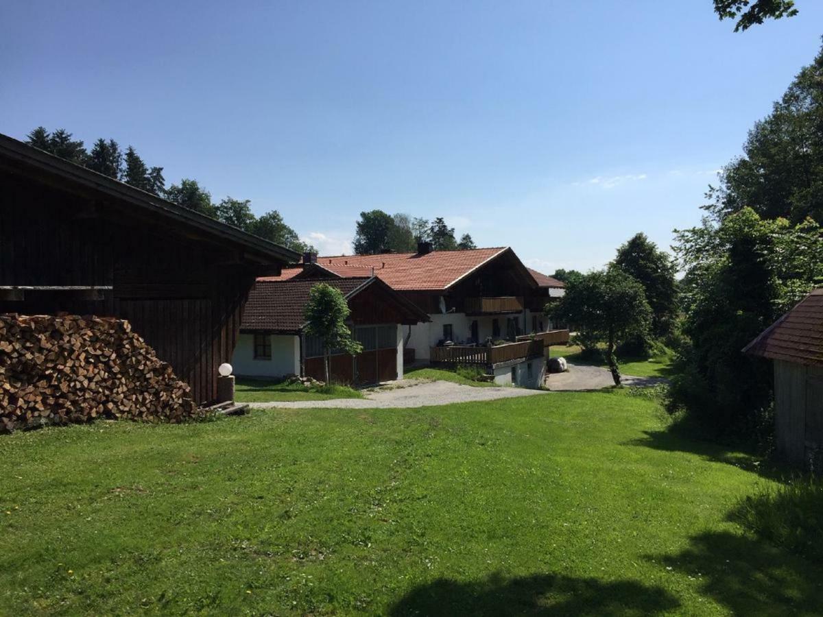 Ferienwohnung Hubertus Bischofsmais Bagian luar foto