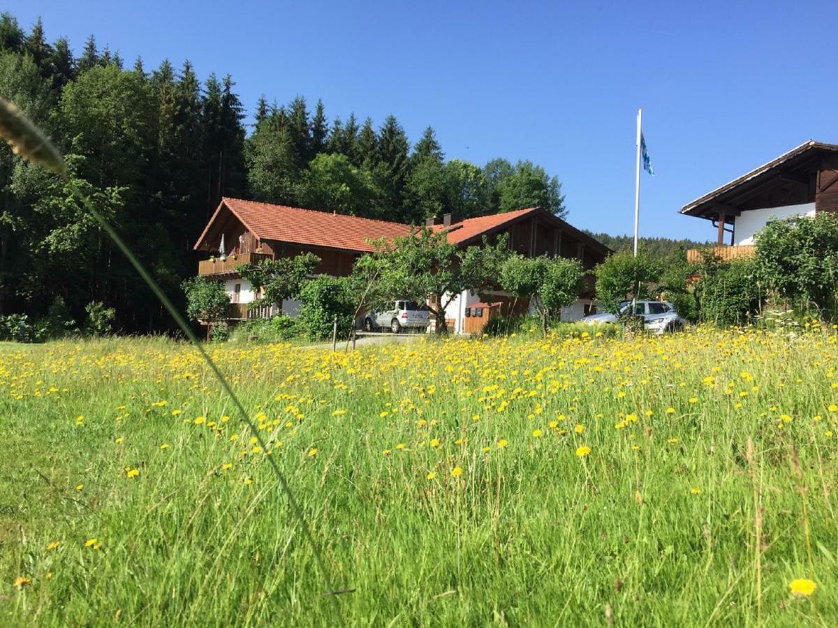 Ferienwohnung Hubertus Bischofsmais Bagian luar foto